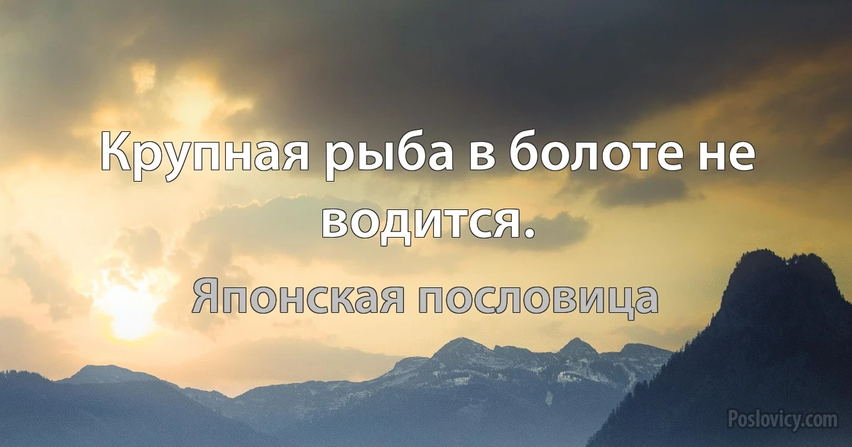 Крупная рыба в болоте не водится. (Японская пословица)