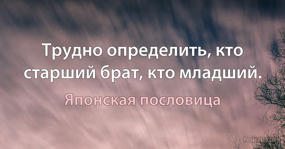 Трудно определить, кто старший брат, кто младший. (Японская пословица)