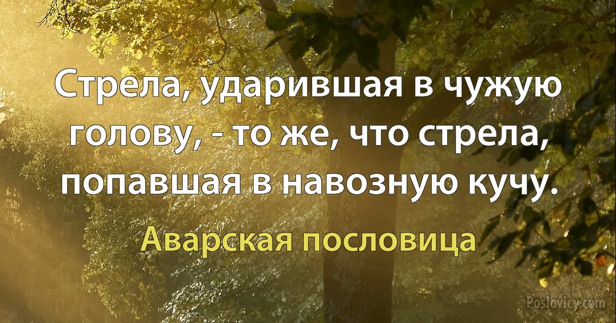 Стрела, ударившая в чужую голову, - то же, что стрела, попавшая в навозную кучу. (Аварская пословица)