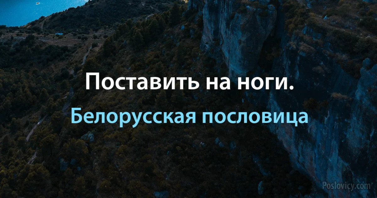 Поставить на ноги. (Белорусская пословица)