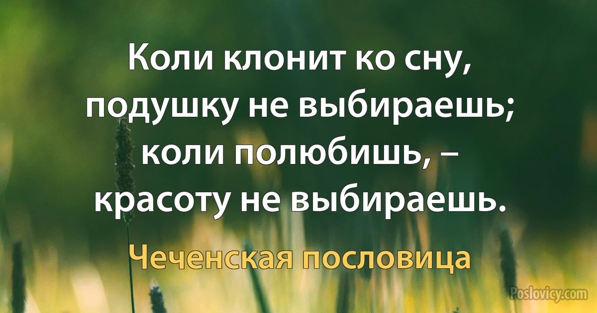 Коли клонит ко сну, подушку не выбираешь; коли полюбишь, – красоту не выбираешь. (Чеченская пословица)