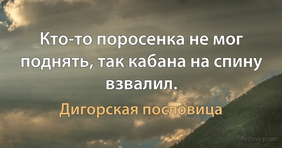 Кто-то поросенка не мог поднять, так кабана на спину взвалил. (Дигорская пословица)