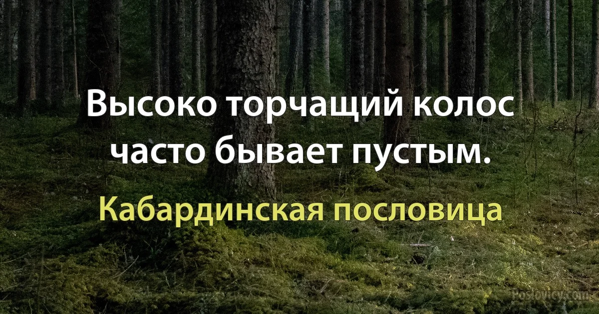 Высоко торчащий колос часто бывает пустым. (Кабардинская пословица)