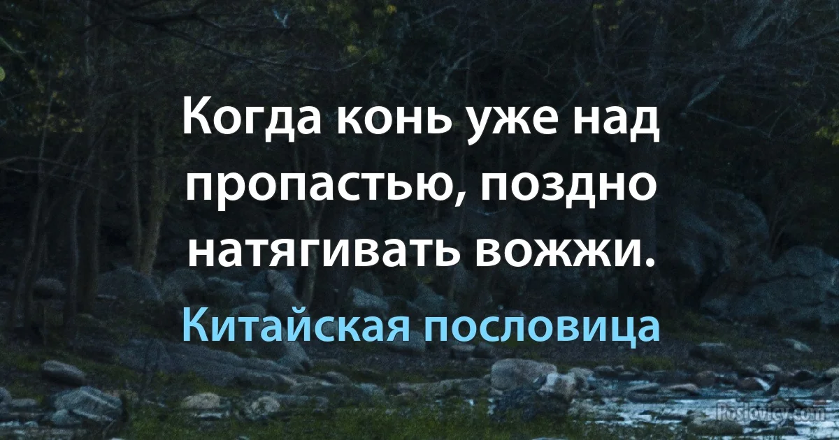 Когда конь уже над пропастью, поздно натягивать вожжи. (Китайская пословица)