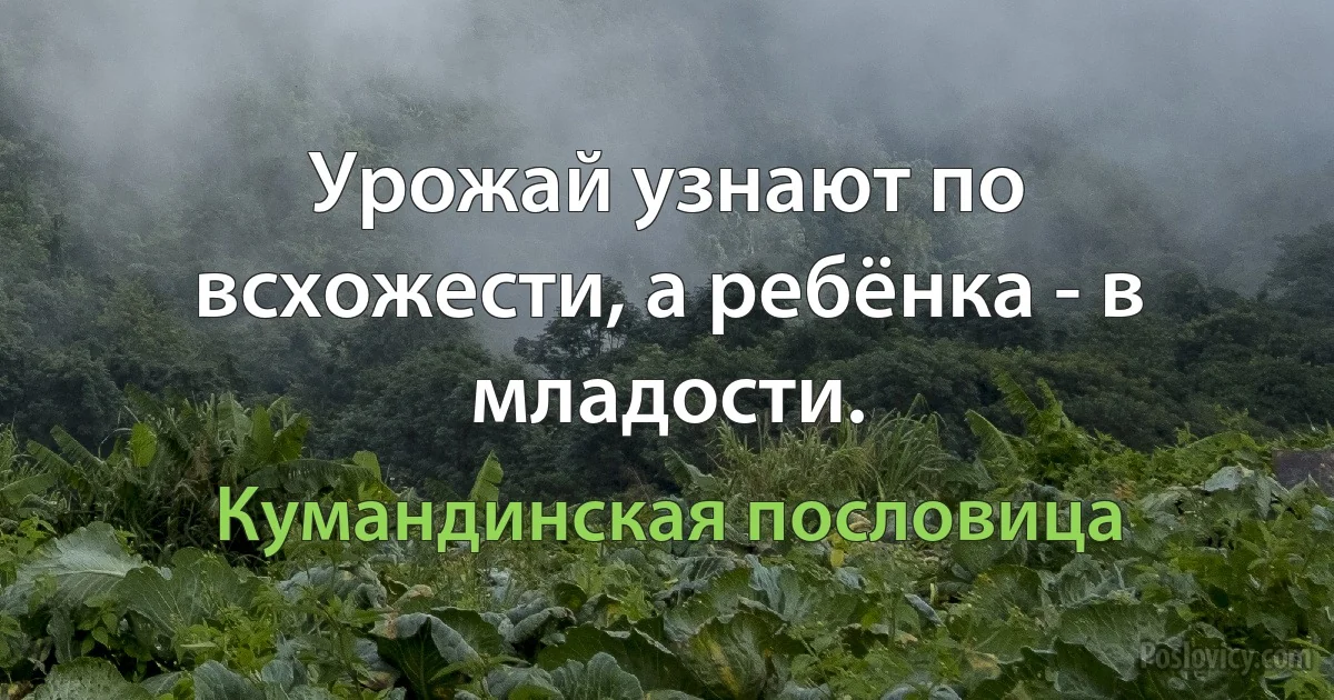 Урожай узнают по всхожести, а ребёнка - в младости. (Кумандинская пословица)