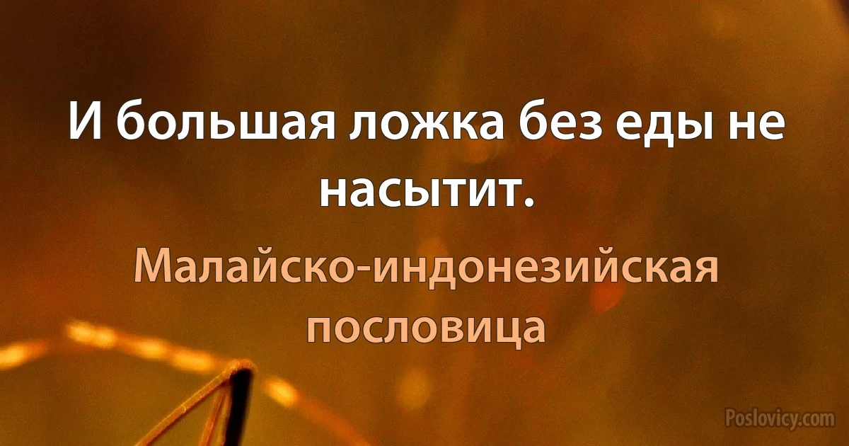 И большая ложка без еды не насытит. (Малайско-индонезийская пословица)