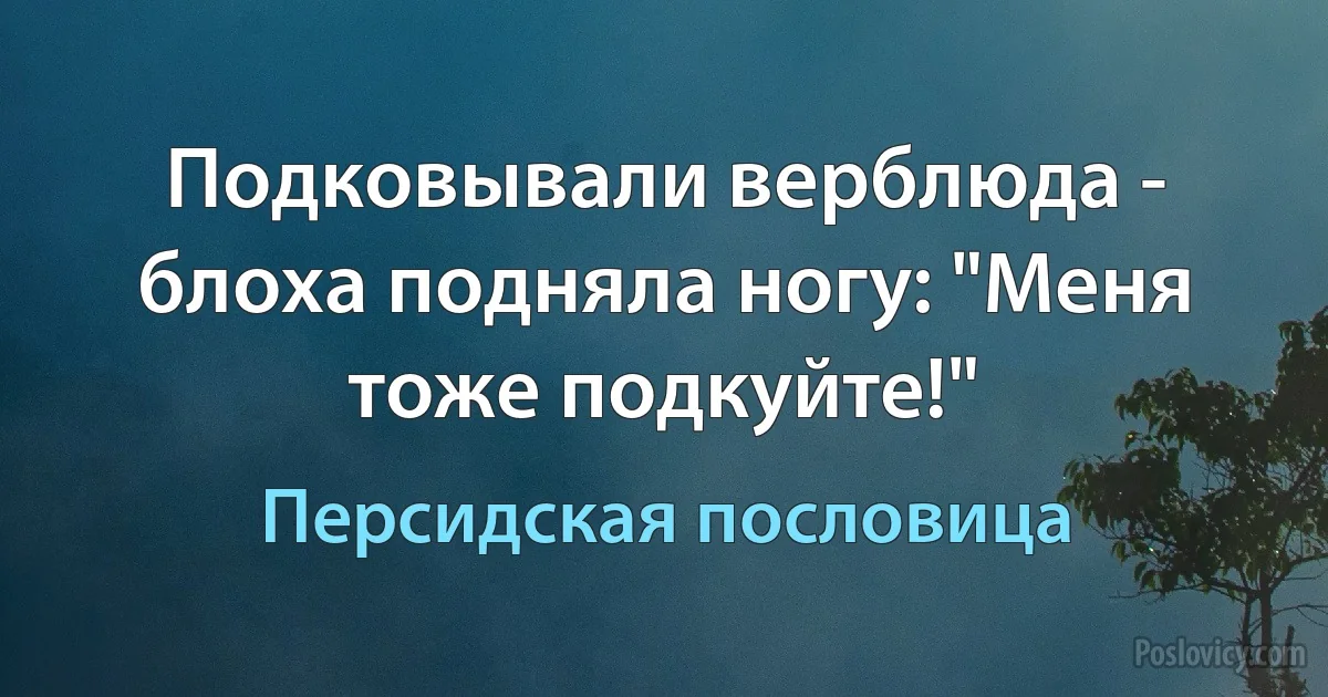 Подковывали верблюда - блоха подняла ногу: "Меня тоже подкуйте!" (Персидская пословица)