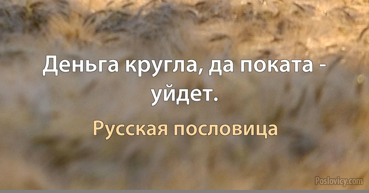 Деньга кругла, да поката - уйдет. (Русская пословица)