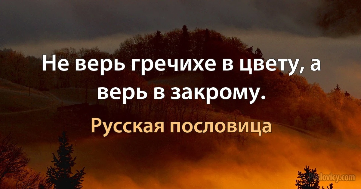 Не верь гречихе в цвету, а верь в закрому. (Русская пословица)