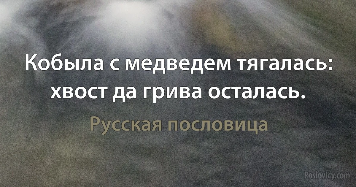 Кобыла с медведем тягалась: хвост да грива осталась. (Русская пословица)