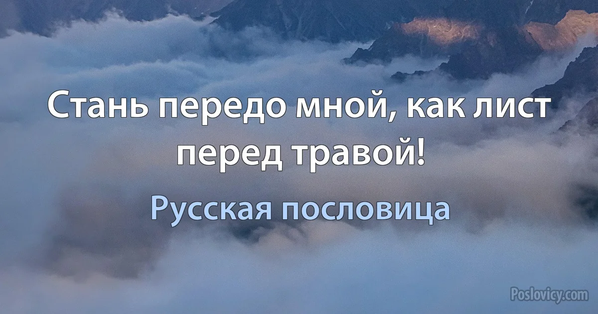 Стань передо мной, как лист перед травой! (Русская пословица)