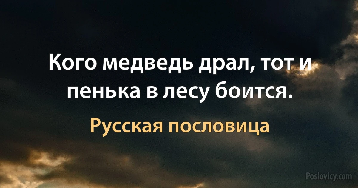 Кого медведь драл, тот и пенька в лесу боится. (Русская пословица)