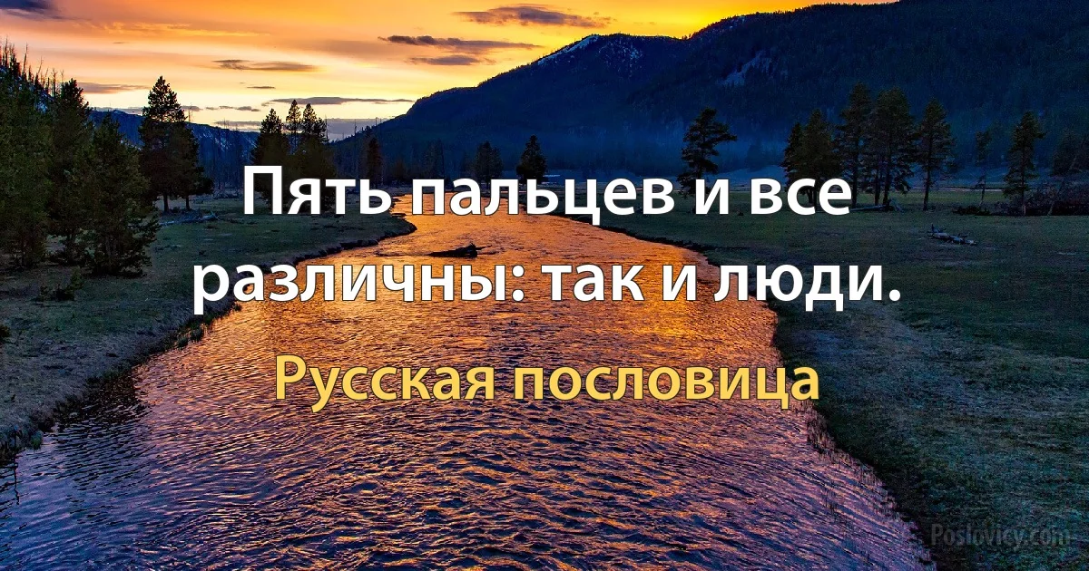 Пять пальцев и все различны: так и люди. (Русская пословица)