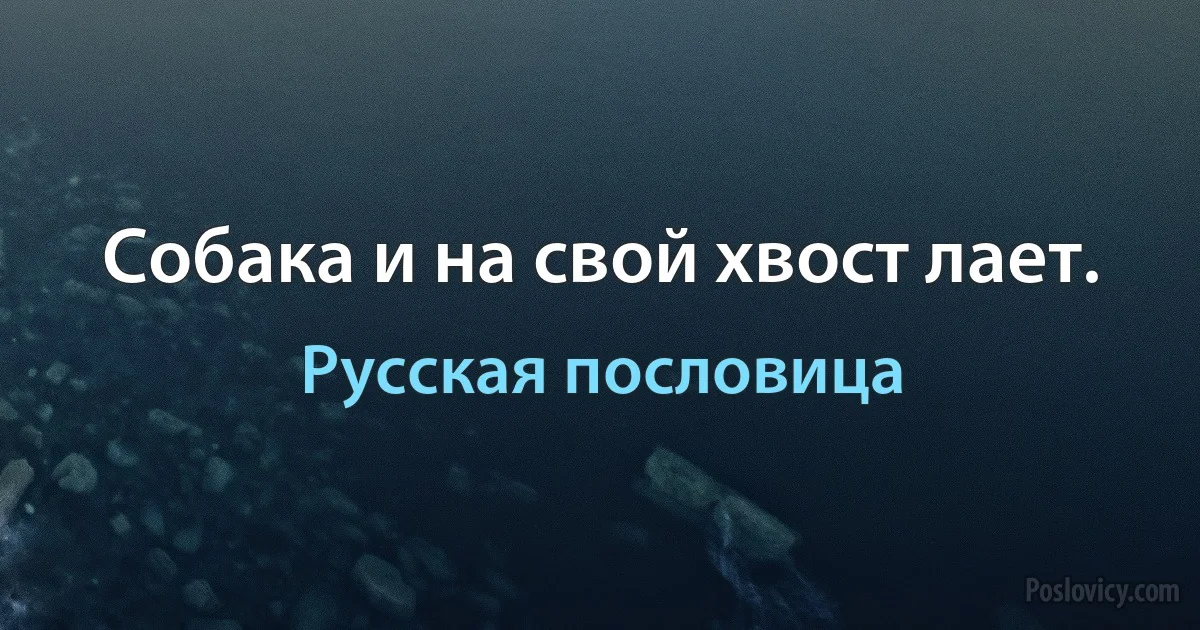 Собака и на свой хвост лает. (Русская пословица)