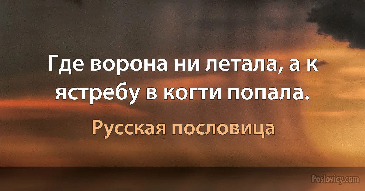 Где ворона ни летала, а к ястребу в когти попала. (Русская пословица)