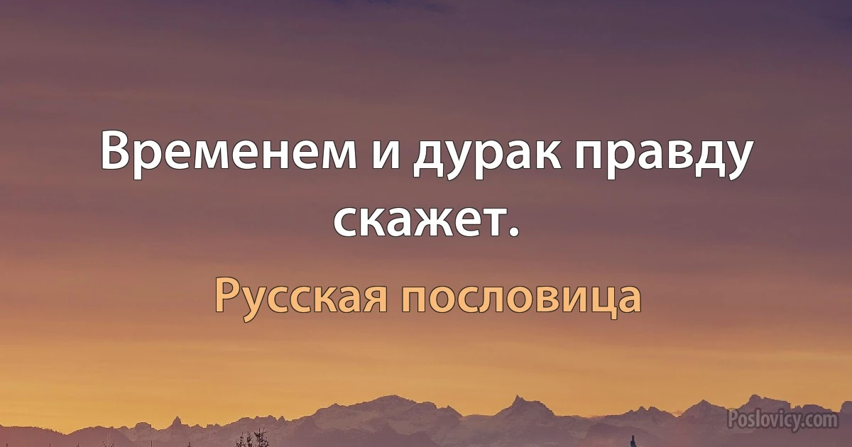 Временем и дурак правду скажет. (Русская пословица)