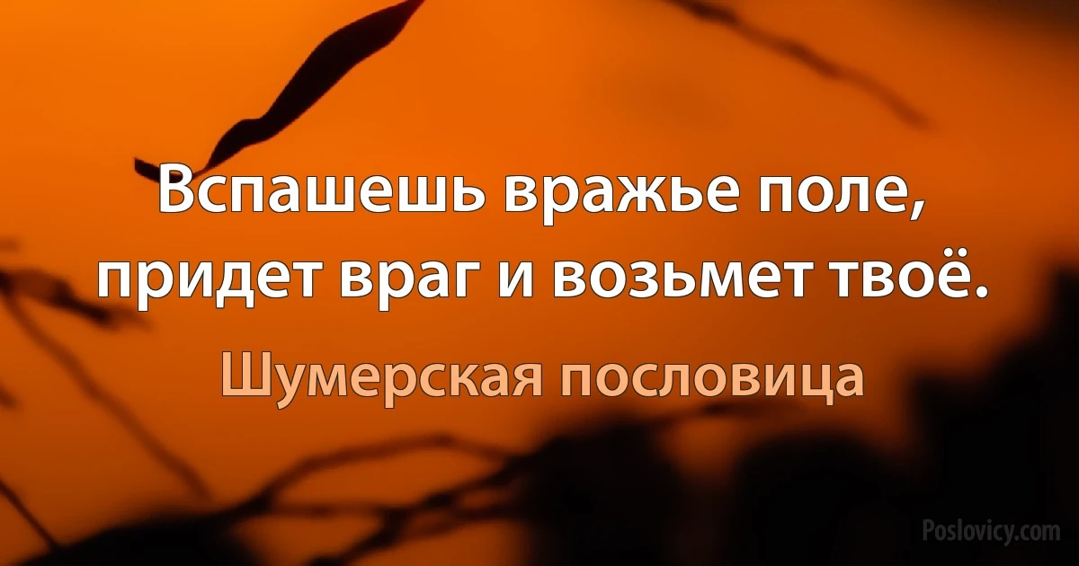 Вспашешь вражье поле, придет враг и возьмет твоё. (Шумерская пословица)