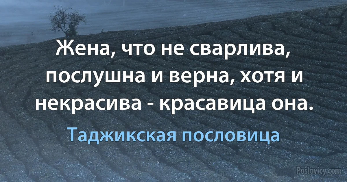 Жена, что не сварлива, послушна и верна, хотя и некрасива - красавица она. (Таджикская пословица)