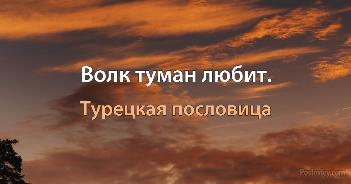 Волк туман любит. (Турецкая пословица)