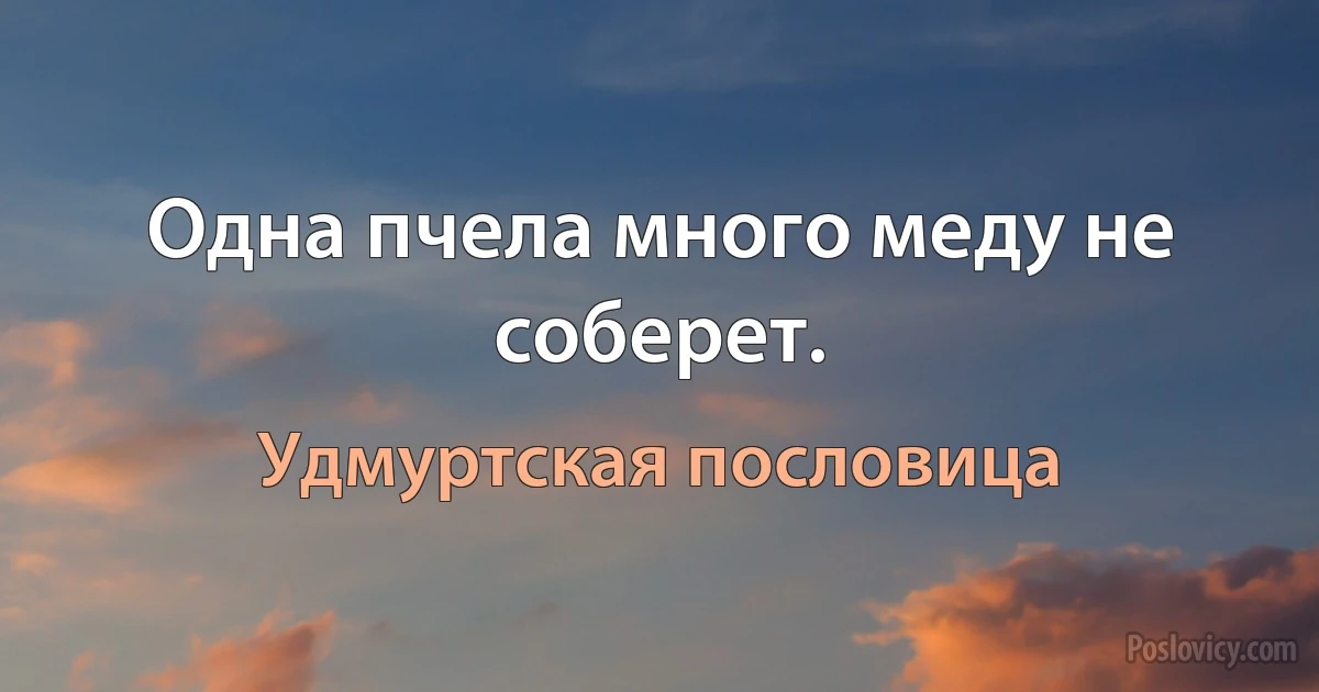 Одна пчела много меду не соберет. (Удмуртская пословица)