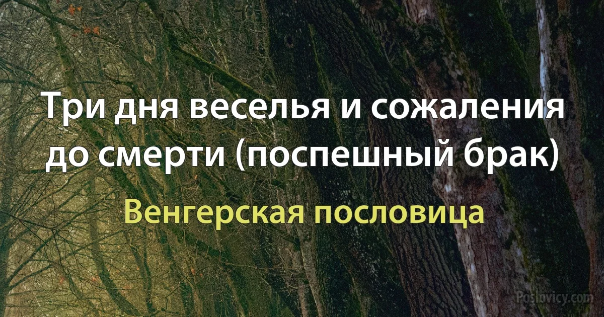 Три дня веселья и сожаления до смерти (поспешный брак) (Венгерская пословица)