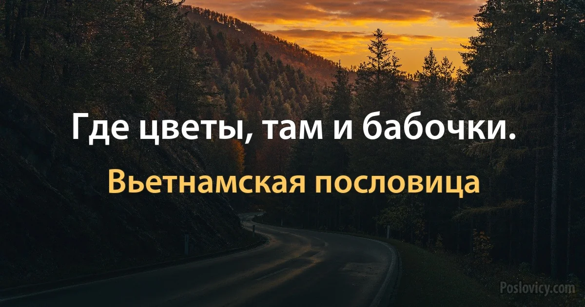 Где цветы, там и бабочки. (Вьетнамская пословица)