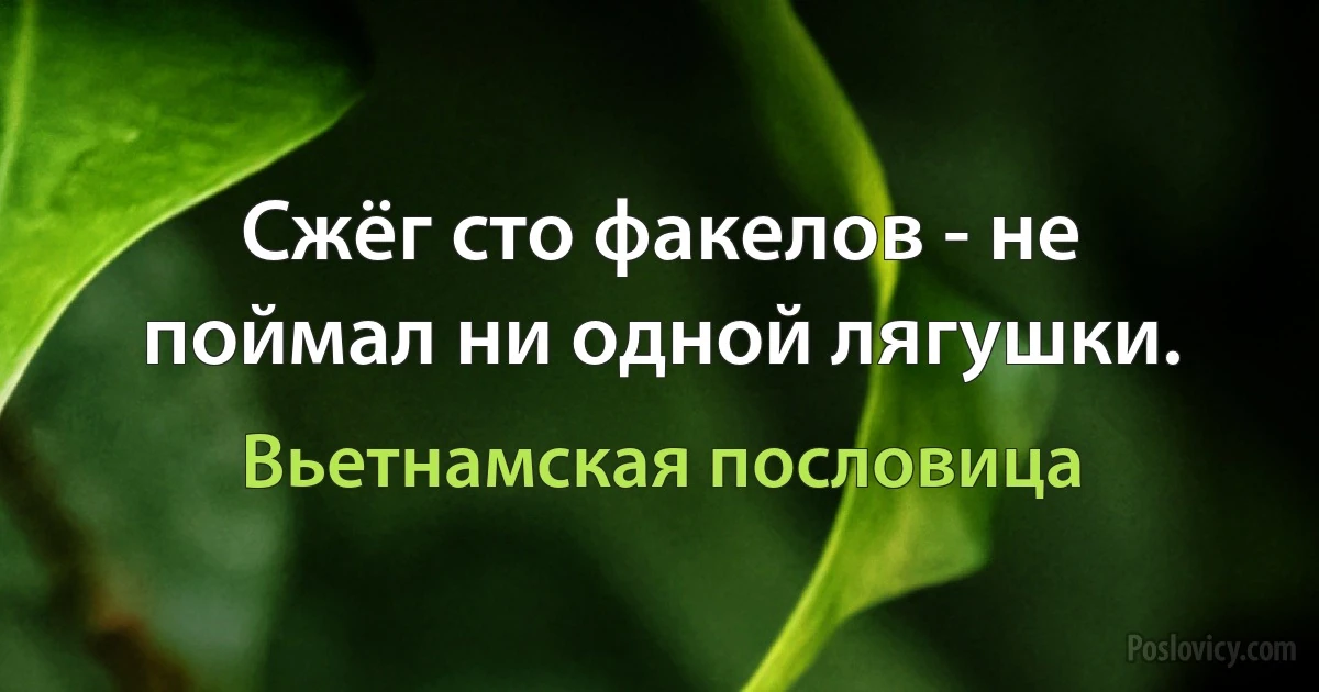 Сжёг сто факелов - не поймал ни одной лягушки. (Вьетнамская пословица)