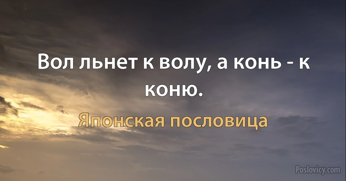 Вол льнет к волу, а конь - к коню. (Японская пословица)