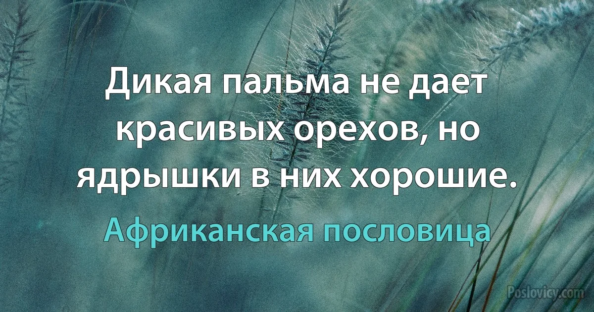 Дикая пальма не дает красивых орехов, но ядрышки в них хорошие. (Африканская пословица)