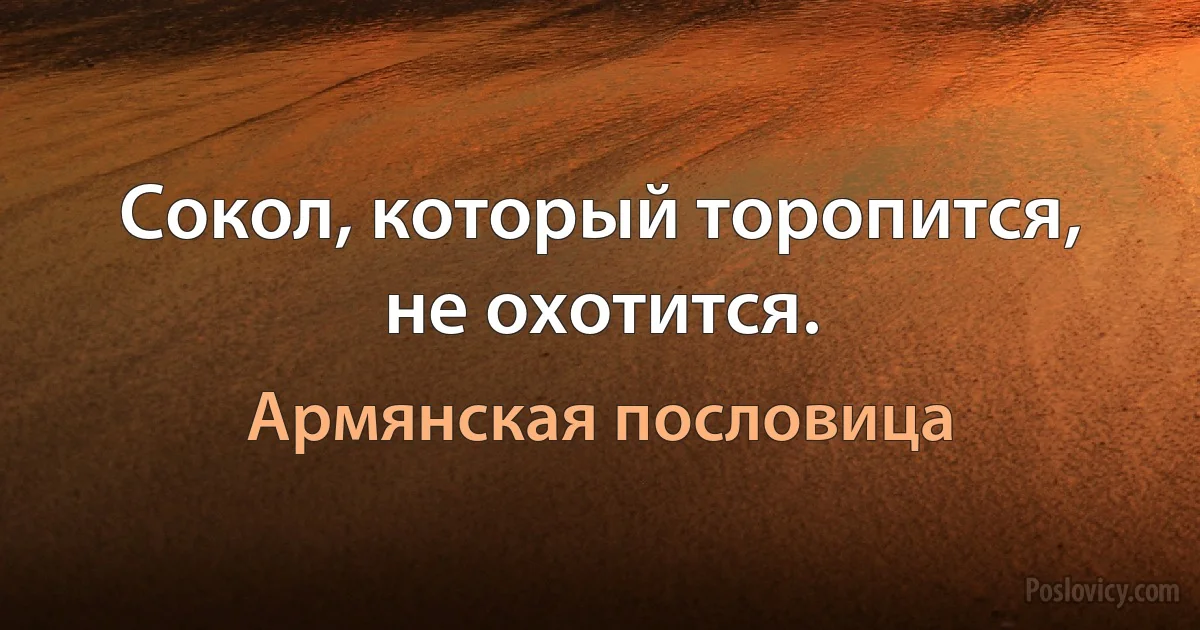 Сокол, который торопится, не охотится. (Армянская пословица)