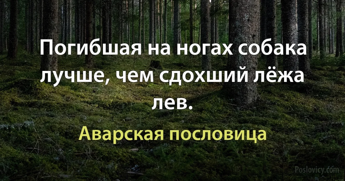 Погибшая на ногах собака лучше, чем сдохший лёжа лев. (Аварская пословица)