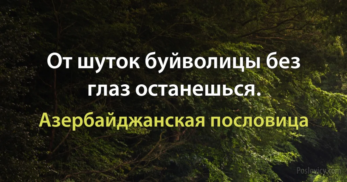 От шуток буйволицы без глаз останешься. (Азербайджанская пословица)