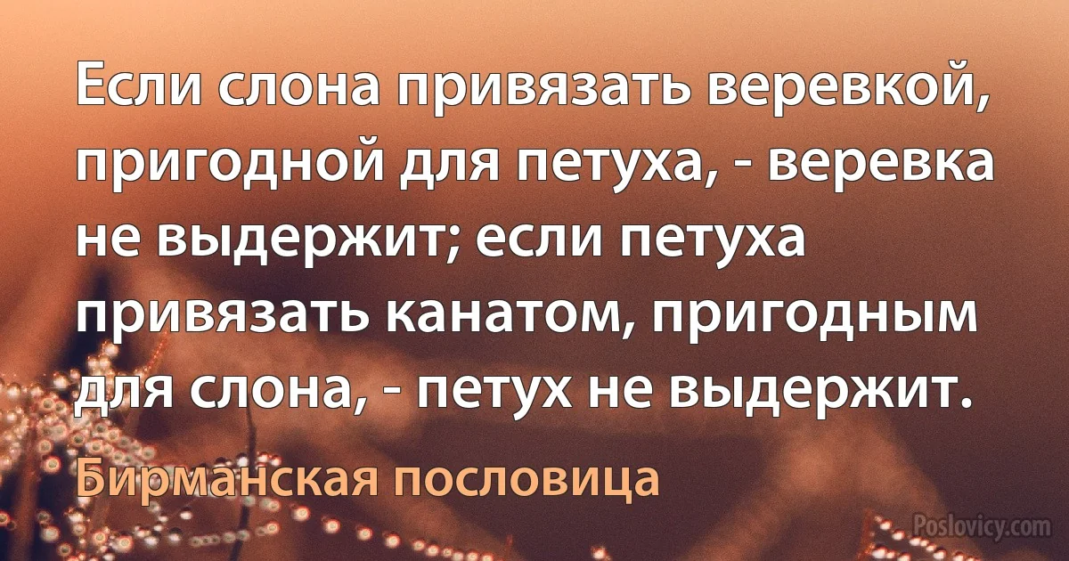 Если слона привязать веревкой, пригодной для петуха, - веревка не выдержит; если петуха привязать канатом, пригодным для слона, - петух не выдержит. (Бирманская пословица)