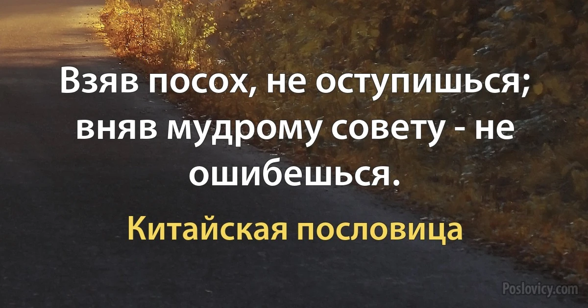 Взяв посох, не оступишься; вняв мудрому совету - не ошибешься. (Китайская пословица)