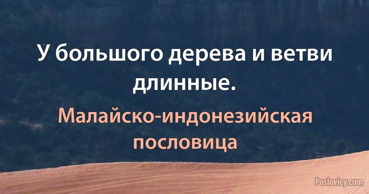 У большого дерева и ветви длинные. (Малайско-индонезийская пословица)