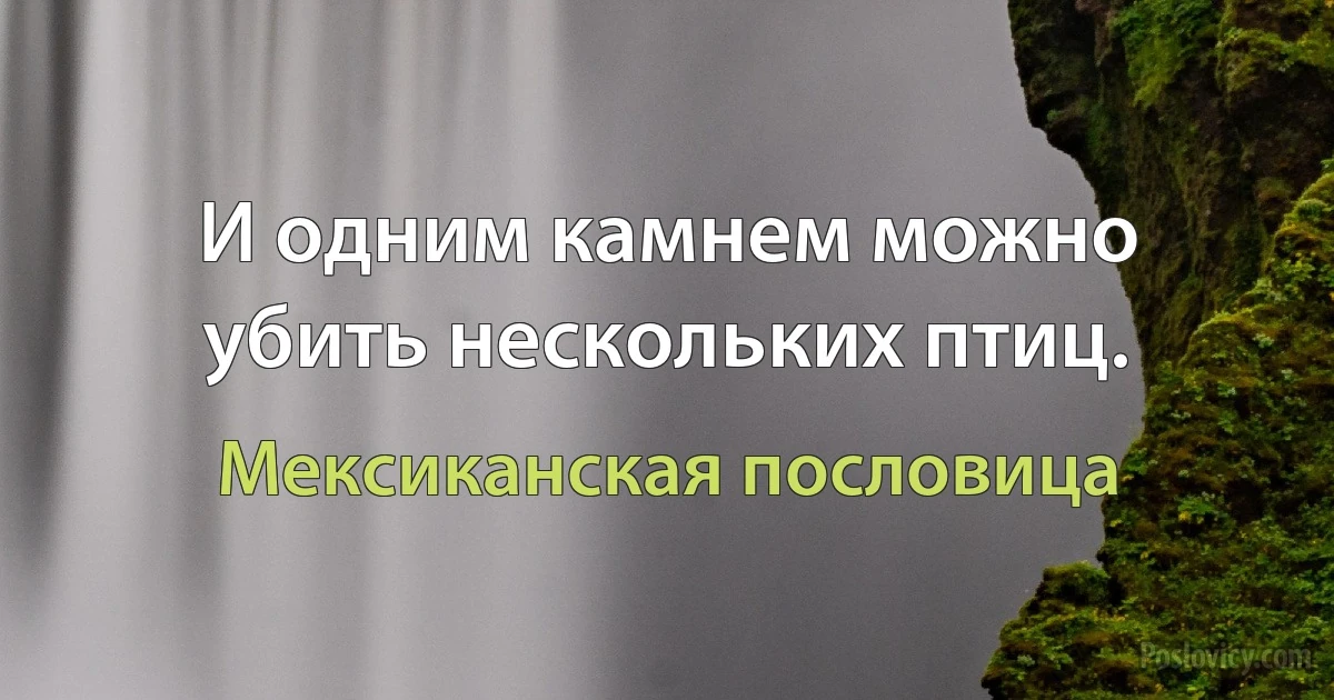 И одним камнем можно убить нескольких птиц. (Мексиканская пословица)