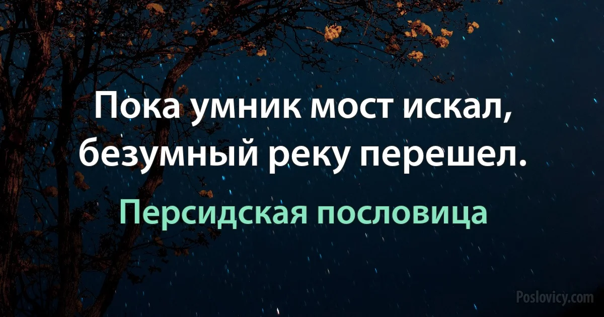 Пока умник мост искал, безумный реку перешел. (Персидская пословица)