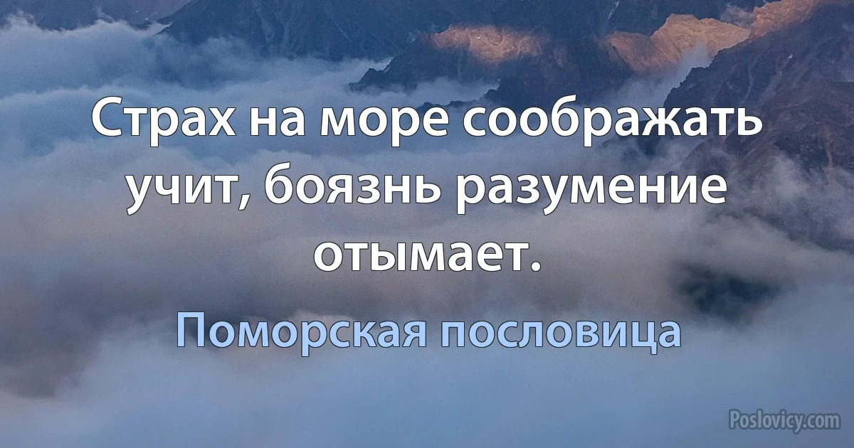 Страх на море соображать учит, боязнь разумение отымает. (Поморская пословица)