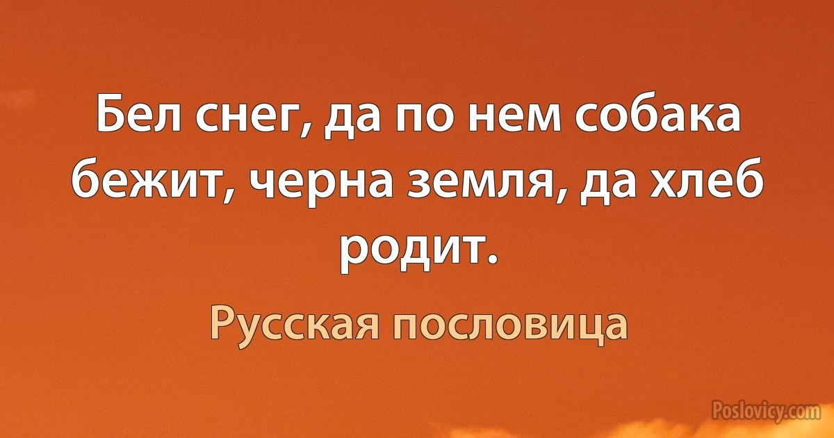 Бел снег, да по нем собака бежит, черна земля, да хлеб родит. (Русская пословица)