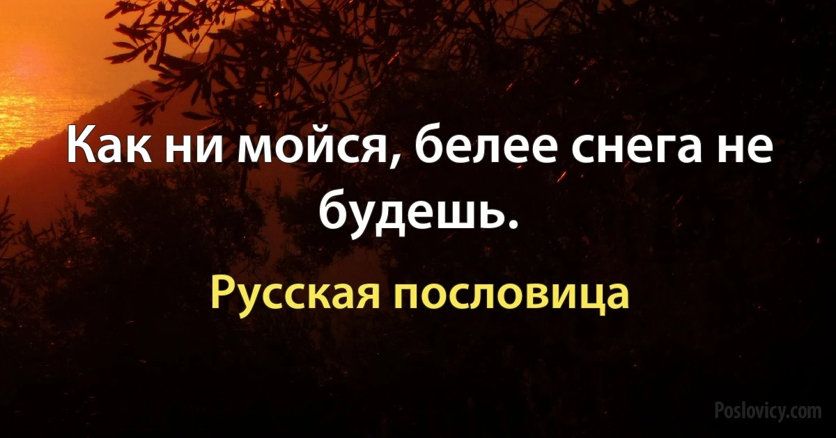 Как ни мойся, белее снега не будешь. (Русская пословица)