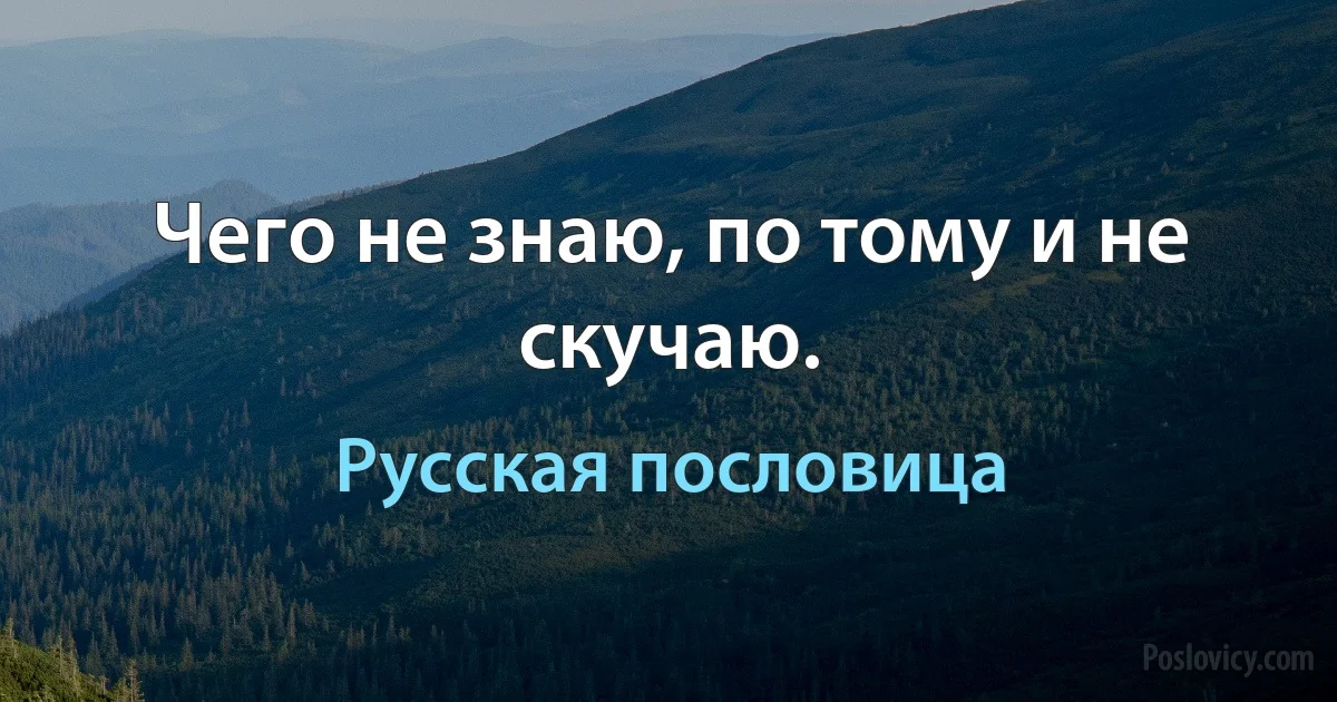 Чего не знаю, по тому и не скучаю. (Русская пословица)