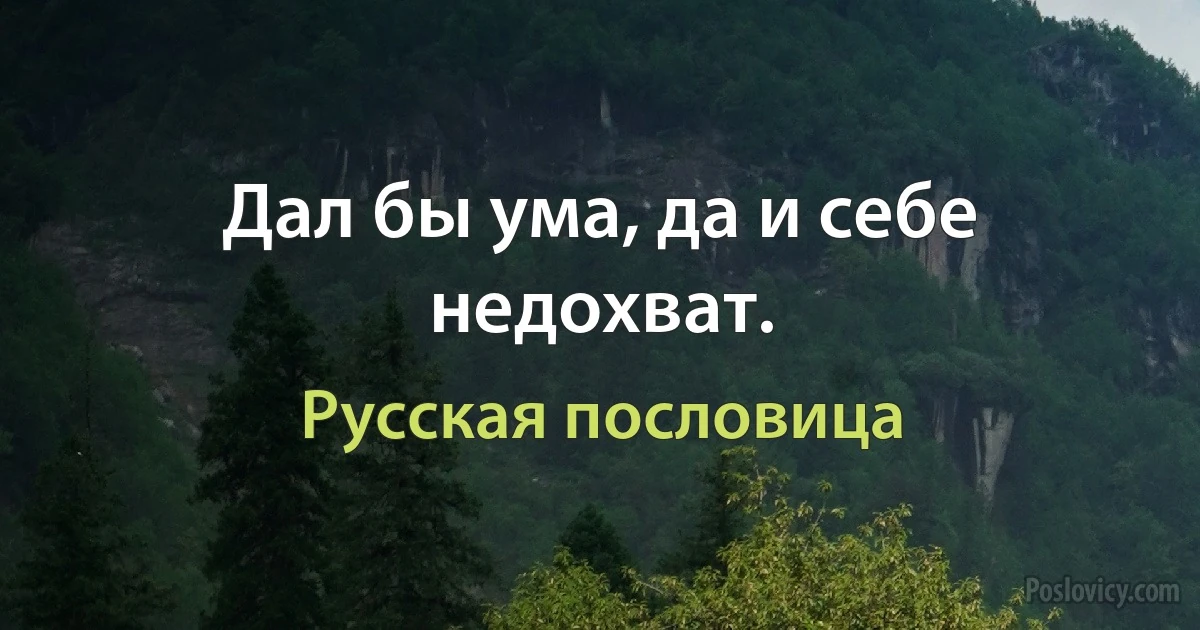 Дал бы ума, да и себе недохват. (Русская пословица)