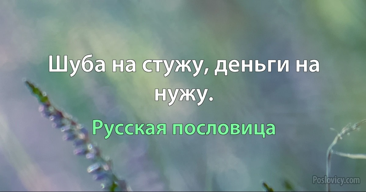 Шуба на стужу, деньги на нужу. (Русская пословица)