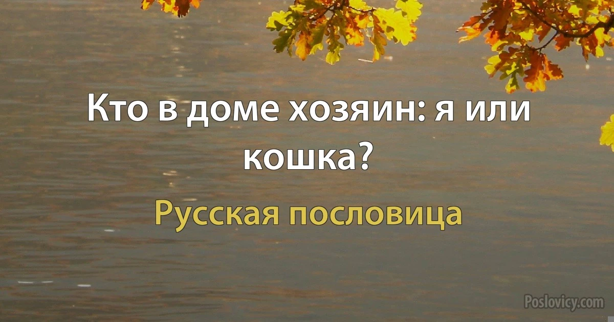 Кто в доме хозяин: я или кошка? (Русская пословица)