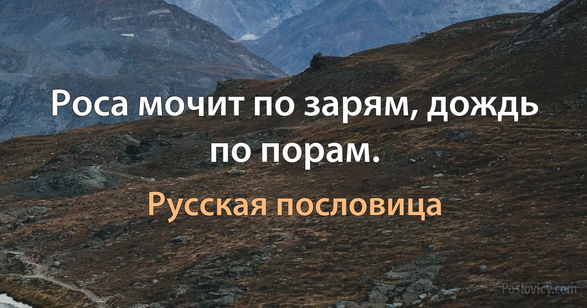 Роса мочит по зарям, дождь по порам. (Русская пословица)