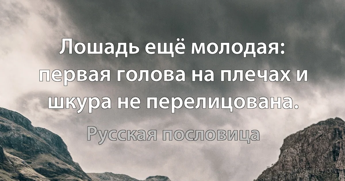 Лошадь ещё молодая: первая голова на плечах и шкура не перелицована. (Русская пословица)