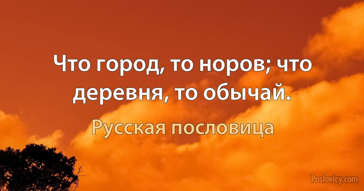 Что город, то норов; что деревня, то обычай. (Русская пословица)