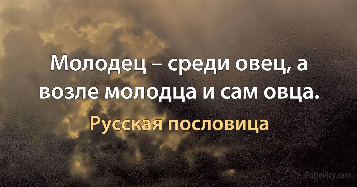 Молодец – среди овец, а возле молодца и сам овца. (Русская пословица)