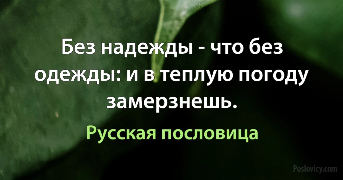 Без надежды - что без одежды: и в теплую погоду замерзнешь. (Русская пословица)