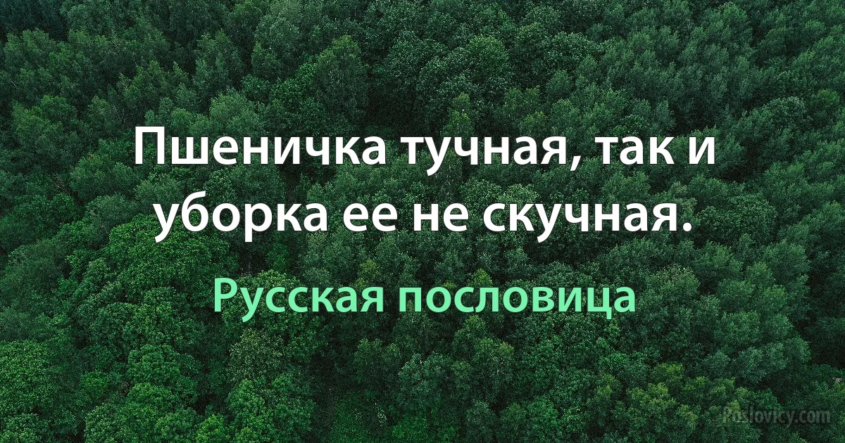 Пшеничка тучная, так и уборка ее не скучная. (Русская пословица)